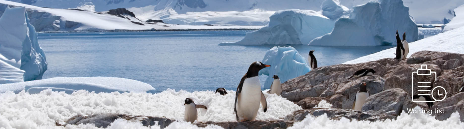 Quilting Tour and Cruise To Antarctica & South America with Michelle Marvig