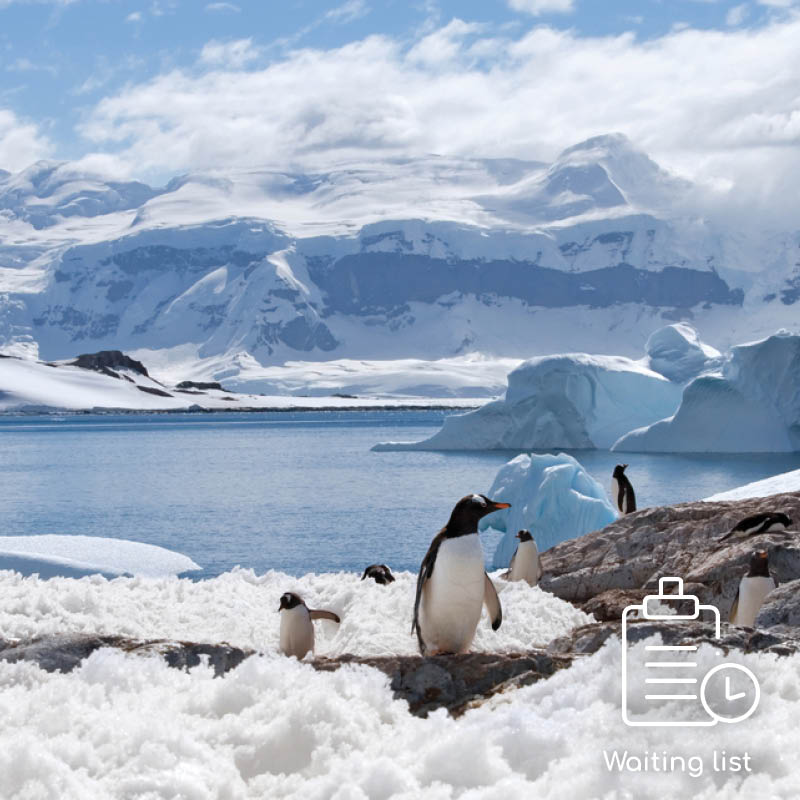 Quilting Tour and Cruise To Antarctica & South America with Michelle Marvig