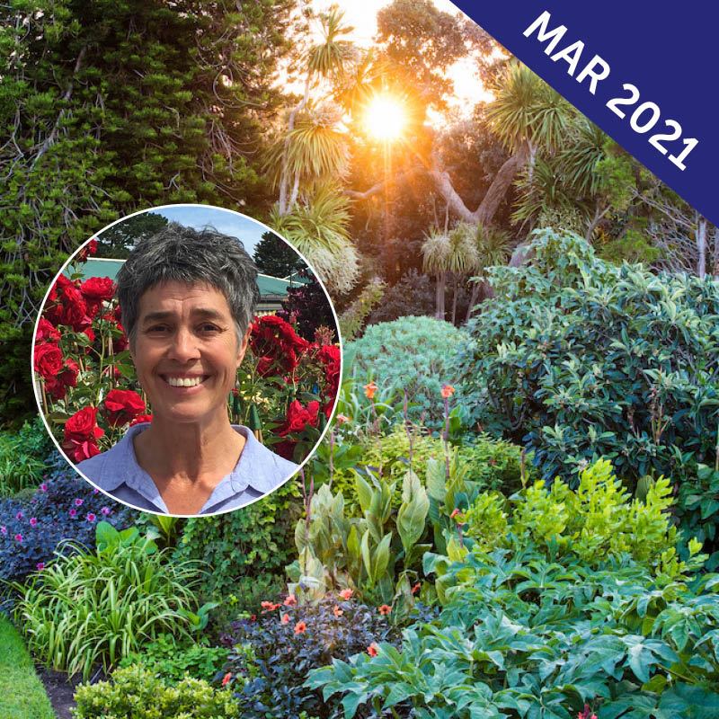 Wildflower Tour of Western Australia with Heidi Martin