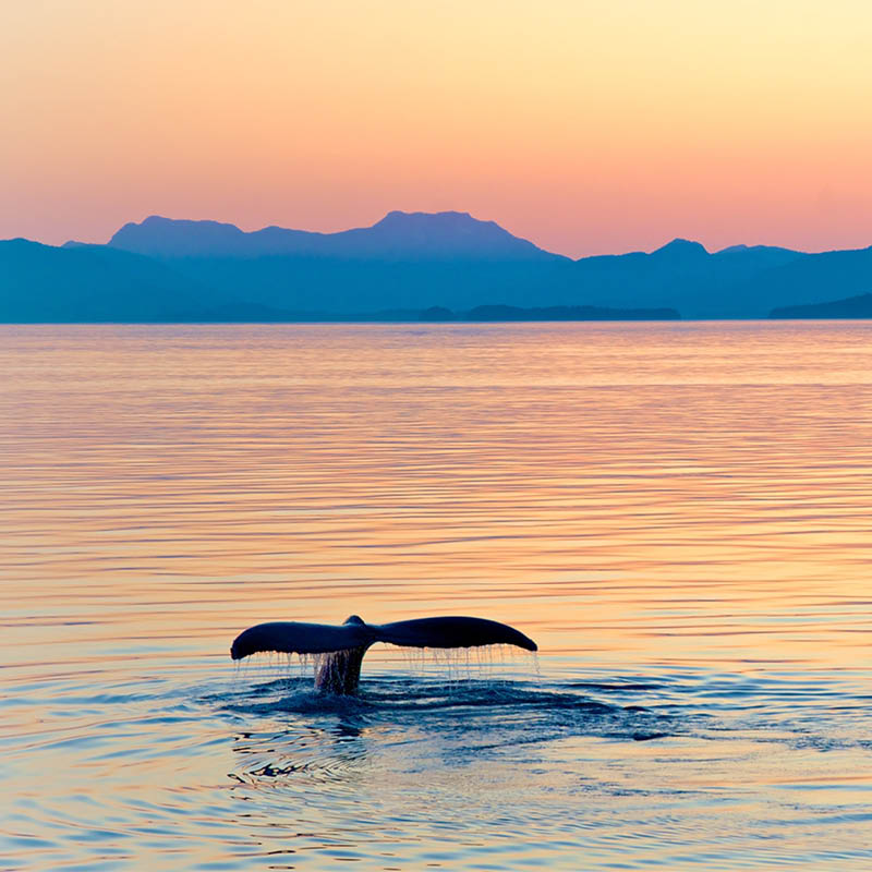 Best of the Rocky Mountains, Canada & Alaska