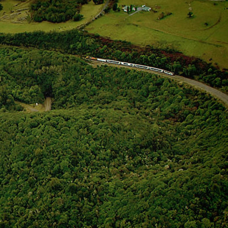 Classic Car, Train & Plane Tour of New Zealand