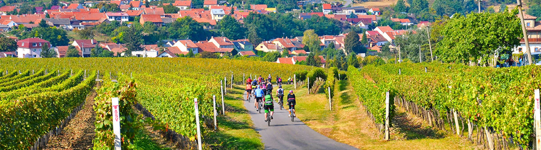 Cycle & Cruise: The Danube and Central Europe
