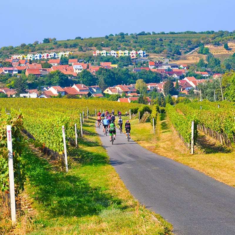 Cycle & Cruise The Danube and Central Europe