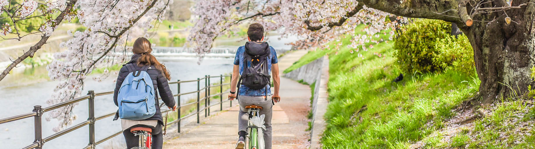 Cycle & Cruise Japan