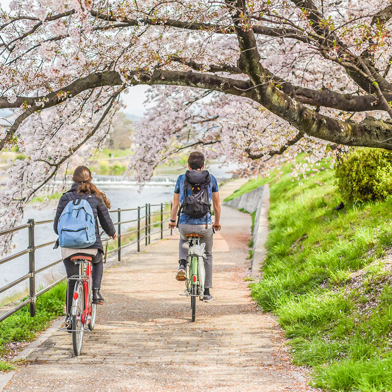 Cycle & Cruise Japan