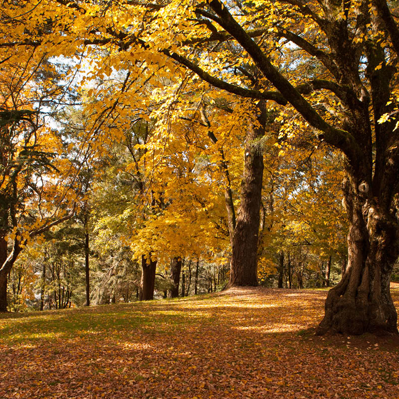 Daylesford, Mornington and Melbourne with Phil Dudman