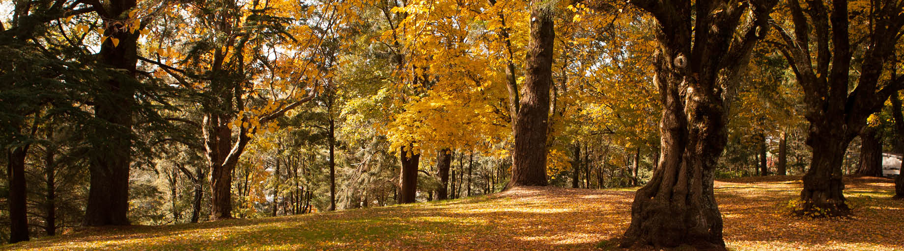 Daylesford, Mornington and Melbourne with Phil Dudman