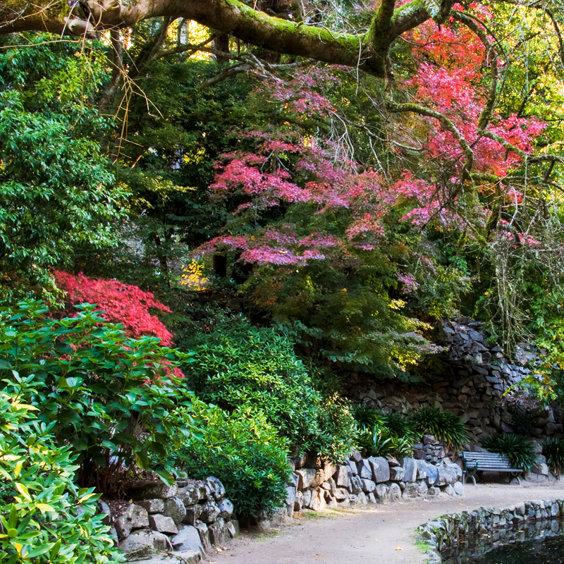Melbourne Garden Tour with Phil Dudman