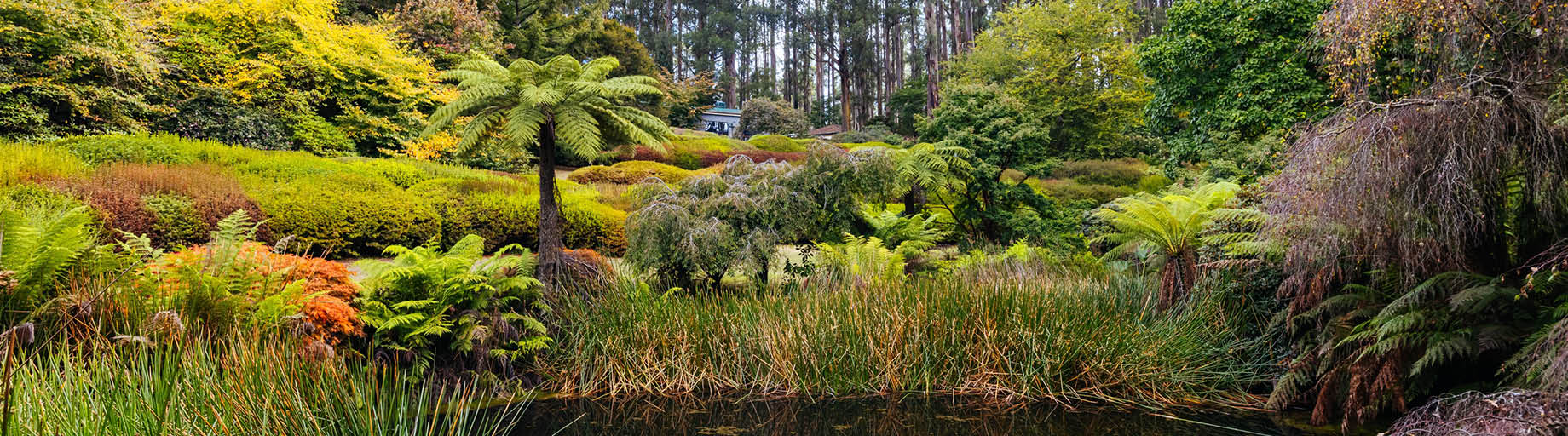 Daylesford, Mornington and Melbourne with Claire Bickle