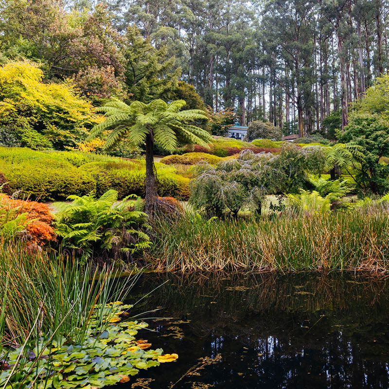 Daylesford, Mornington and Melbourne with Claire Bickle