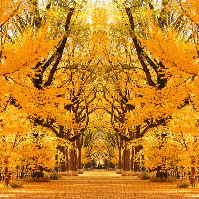 Fall Colours Cruise to USA and Canada