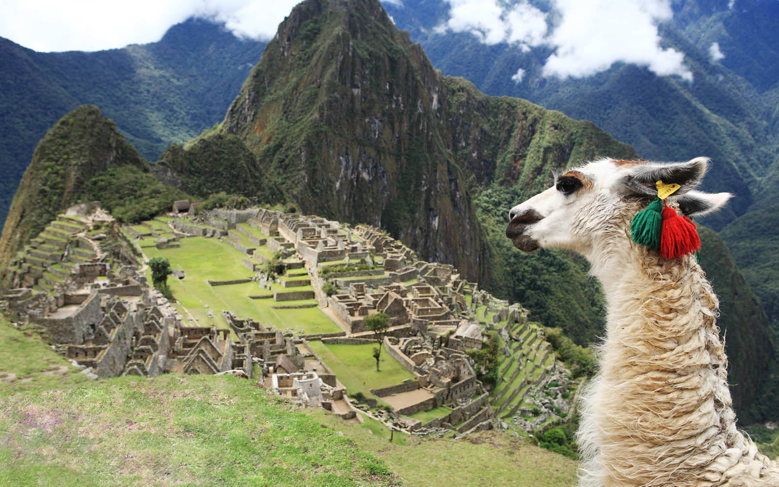 Machu Picchu, Lost City of the Incas