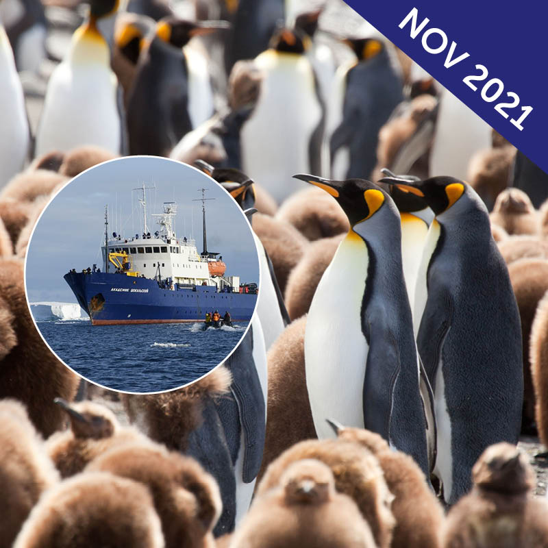 Galapagos of the South Cruise