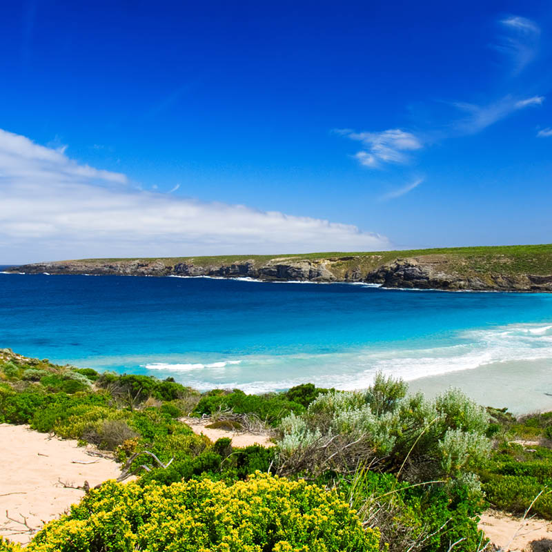 The Ghan, Kangaroo Island & Darwin Escape