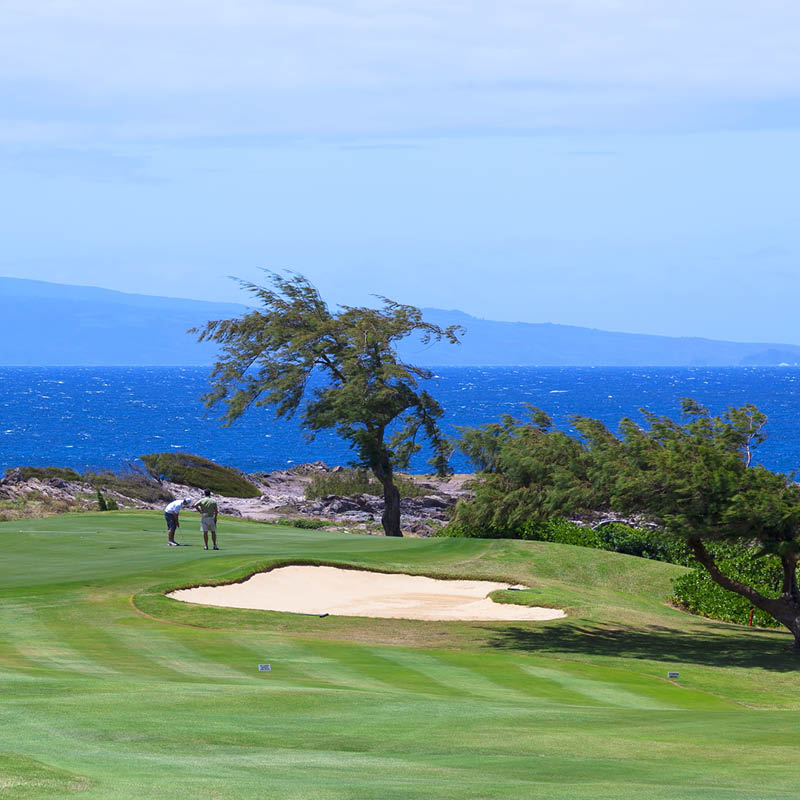 Hawaiian Golf Cruise with Robert Stock