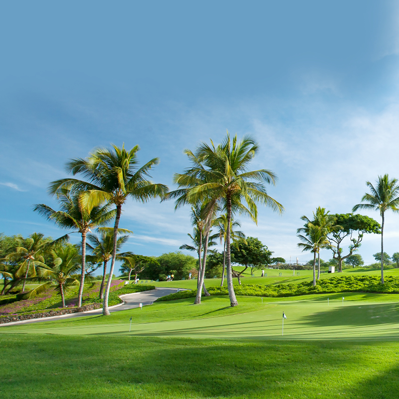 Hawaiian Golf Cruise with Robert Stock