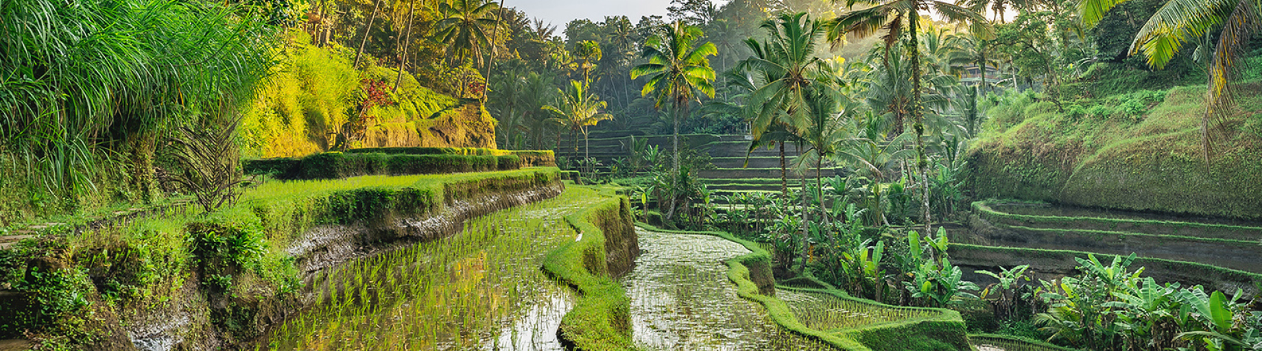 Highlights of Java - Jakarta to Bali by Rail