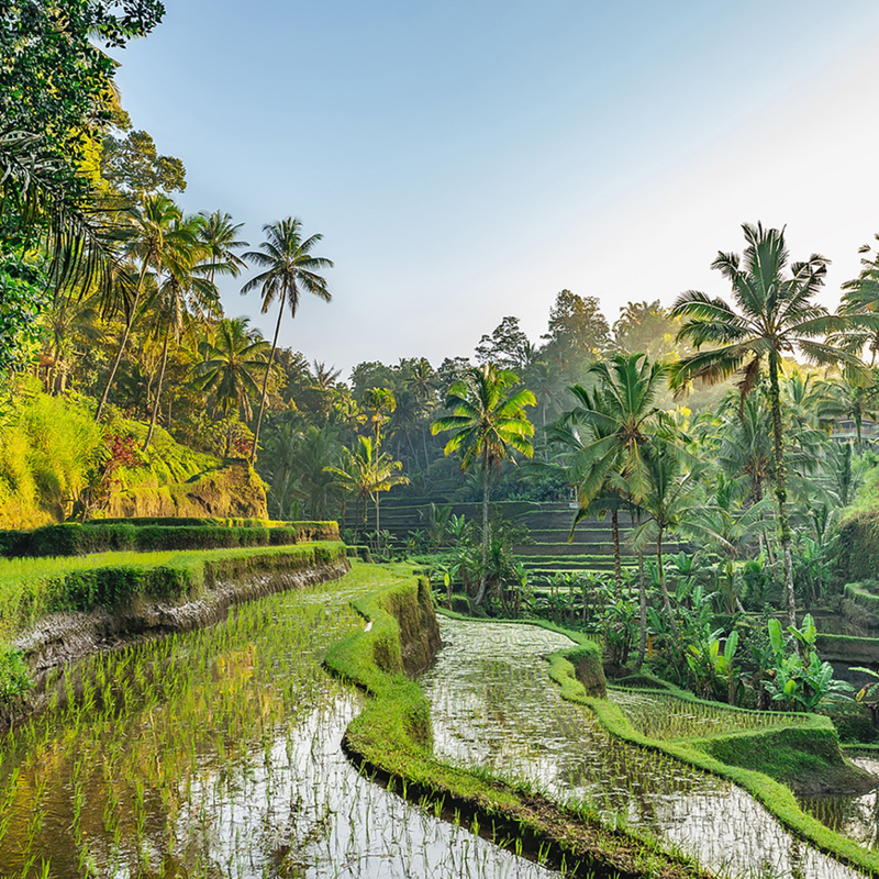 Highlights of Java - Jakarta to Bali by Rail