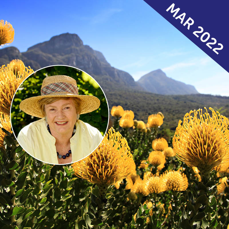 Garden Tour of South Africa with Jane Edmanson