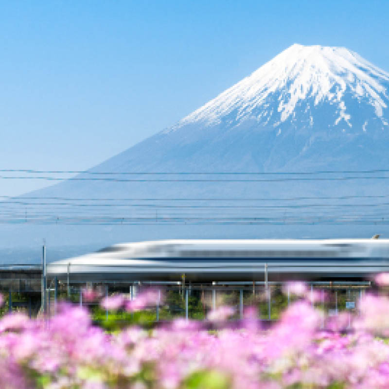 Architecture Tour of Japan with Malcolm Carver Travelrite International