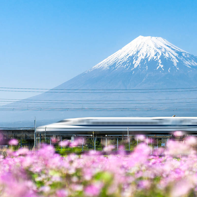 Palaces & Pavilions Japan Cruise