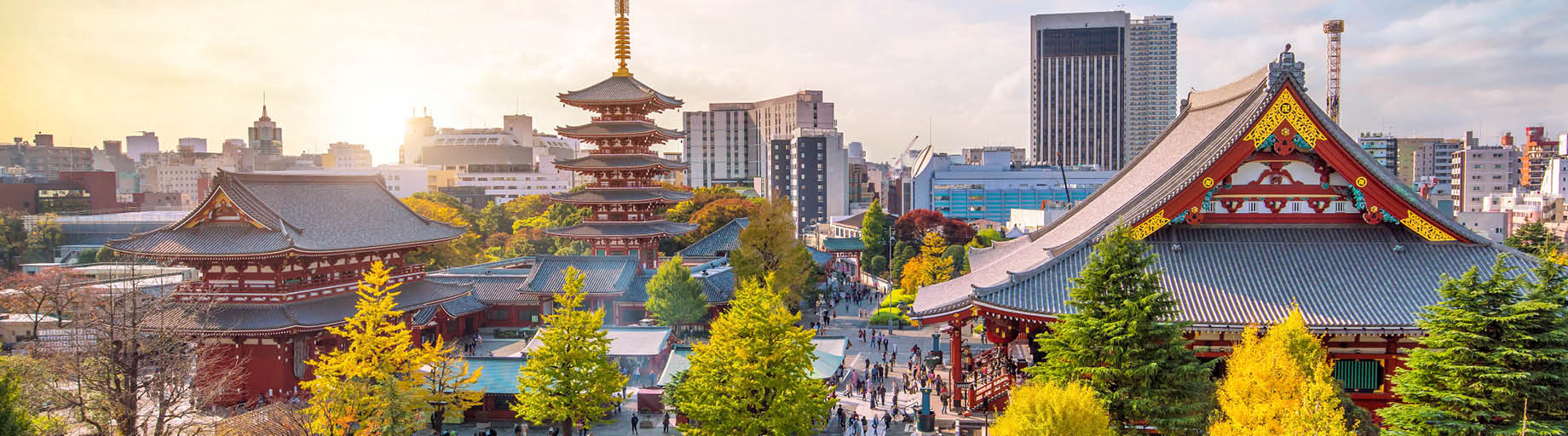 Palaces & Pavilions Japan Cruise