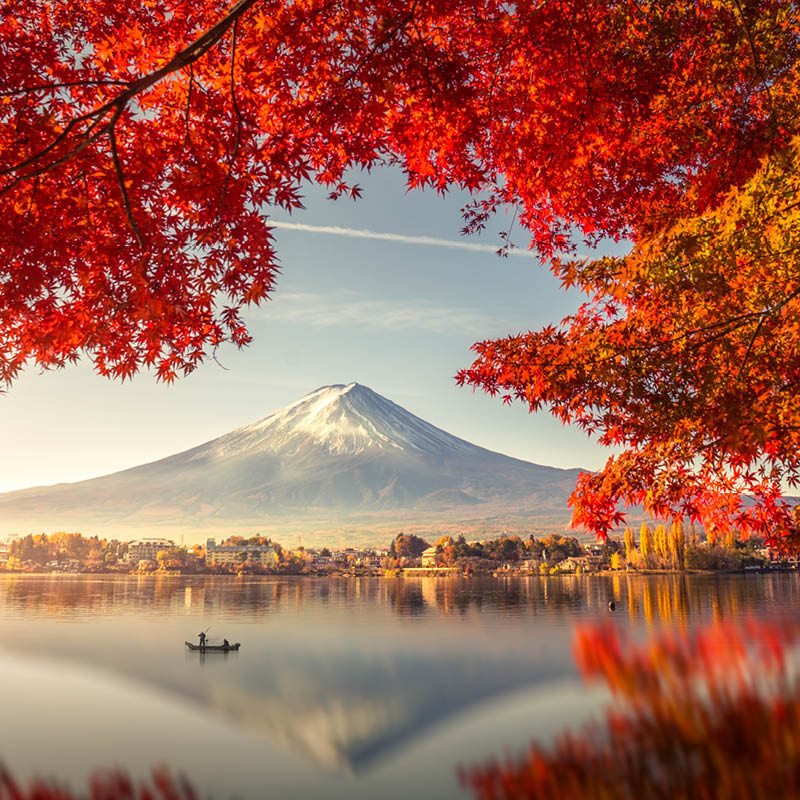 Land of the rising sun Japan Cruise