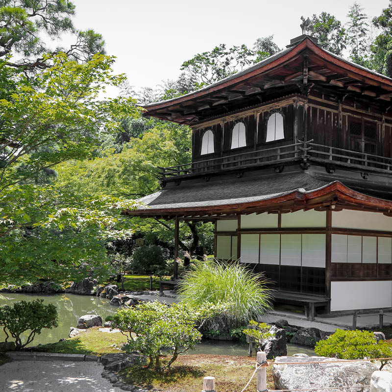 Cherry Blossom Cruise & Tour of Japan with Deryn Thorpe