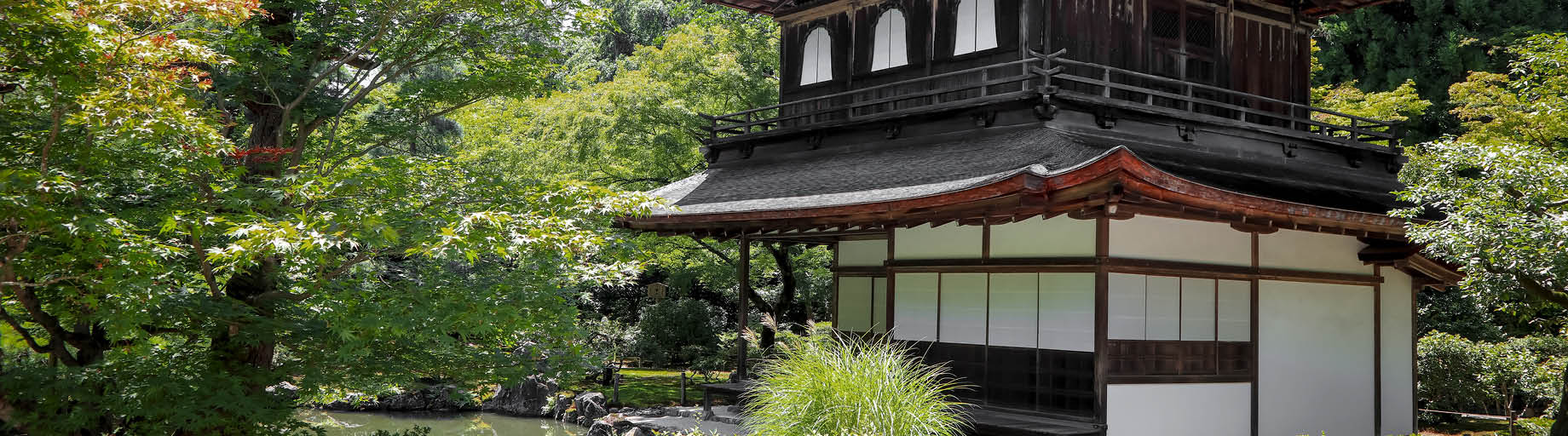 Cherry Blossom Cruise & Tour of Japan with Deryn Thorpe