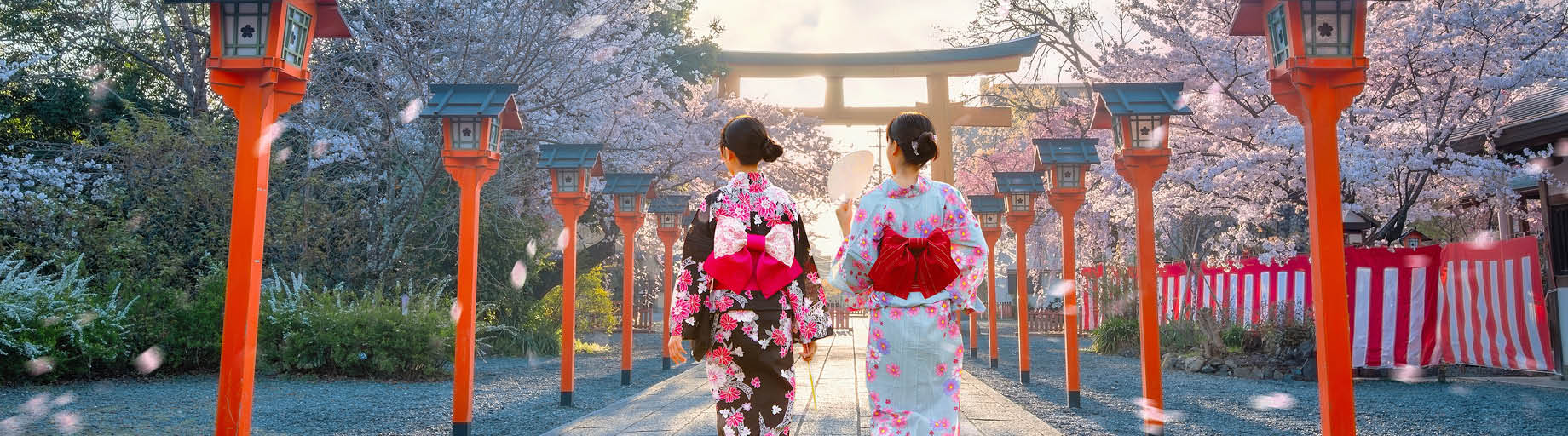 Cherry Blossom Garden Cruise & Tour of Japan with Linda Ross