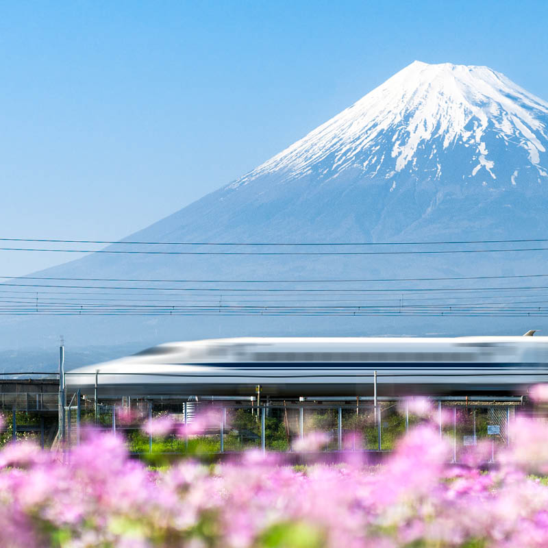 Japan Yarn Tour with Robyn Hicksd
