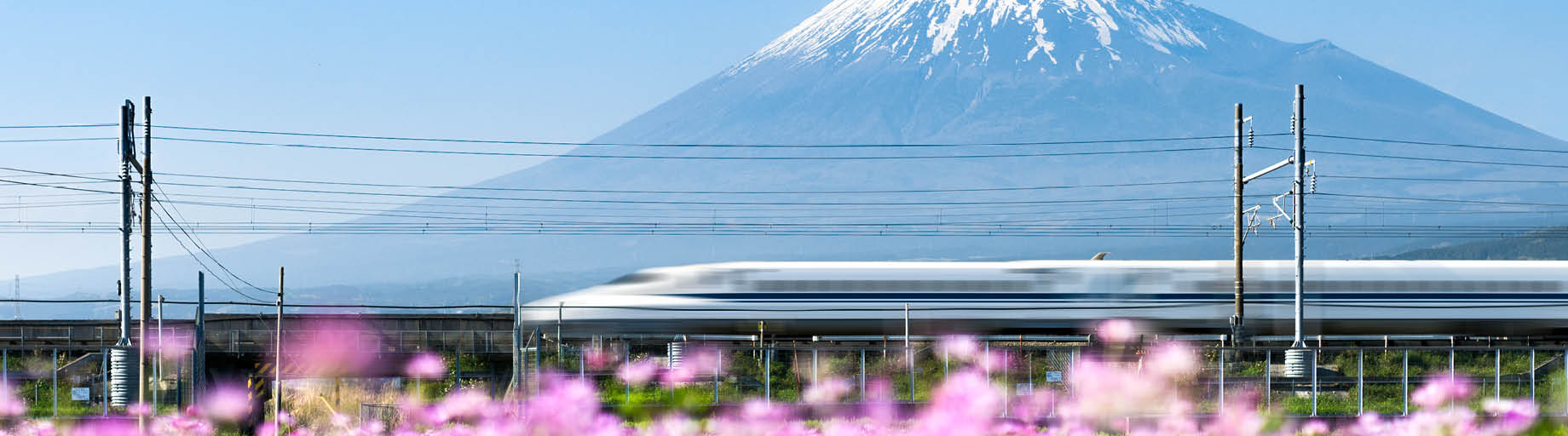Japan Yarn Tour with Robyn Hicks