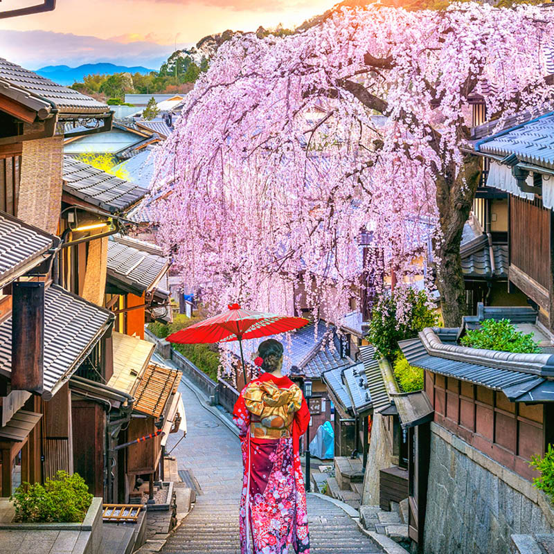 Railways, cherry blossoms and temples of Japan
