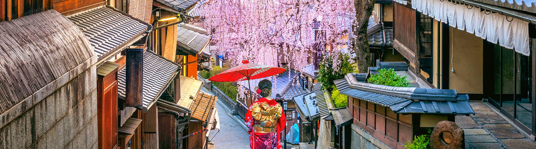 Railways, cherry blossoms and temples of Japan
