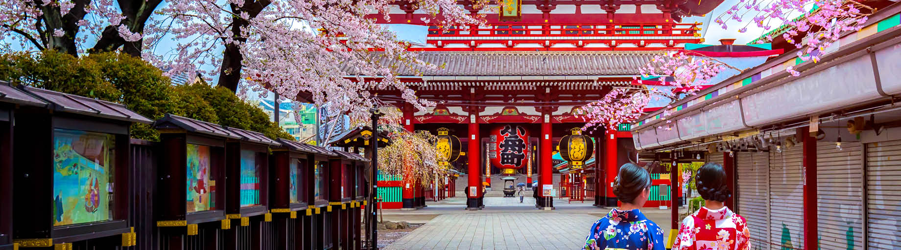Japan Yarn Tour with Robyn Hicks