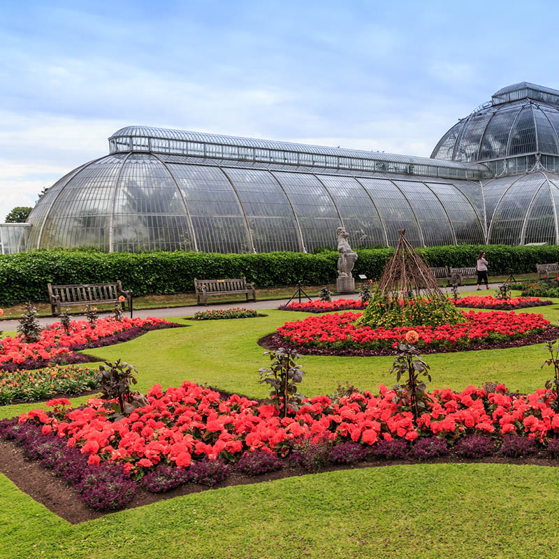 Garden Tour to London & Italy with Deryn Thorpe