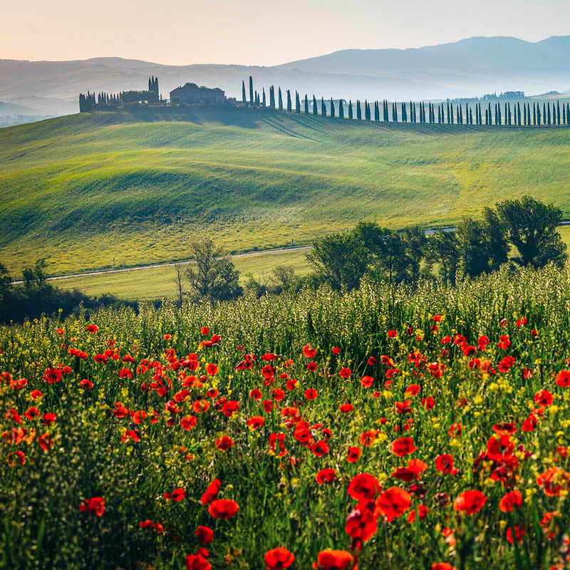 Medieval Cities of the Mediterranean Escorted Cruise with Julie Strini