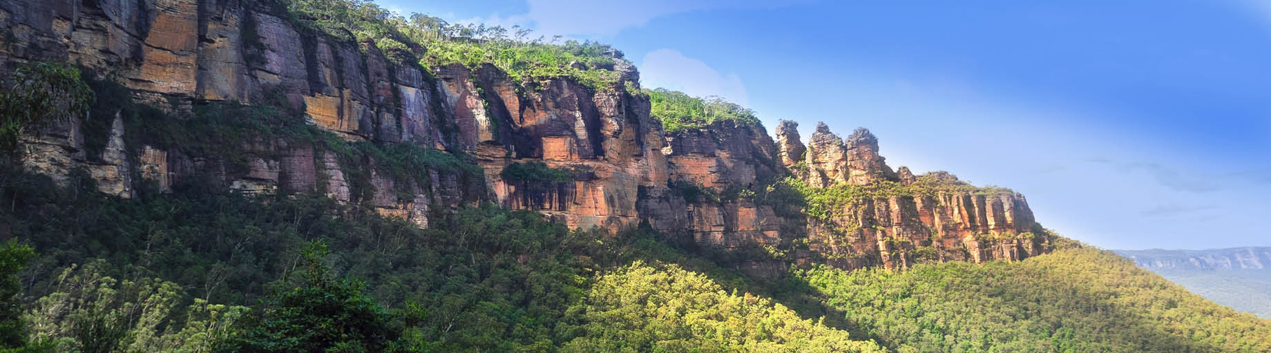 Spring Garden Exploration of the Blue Mountains, Central NSW and Canberra with Deryn Thorpe