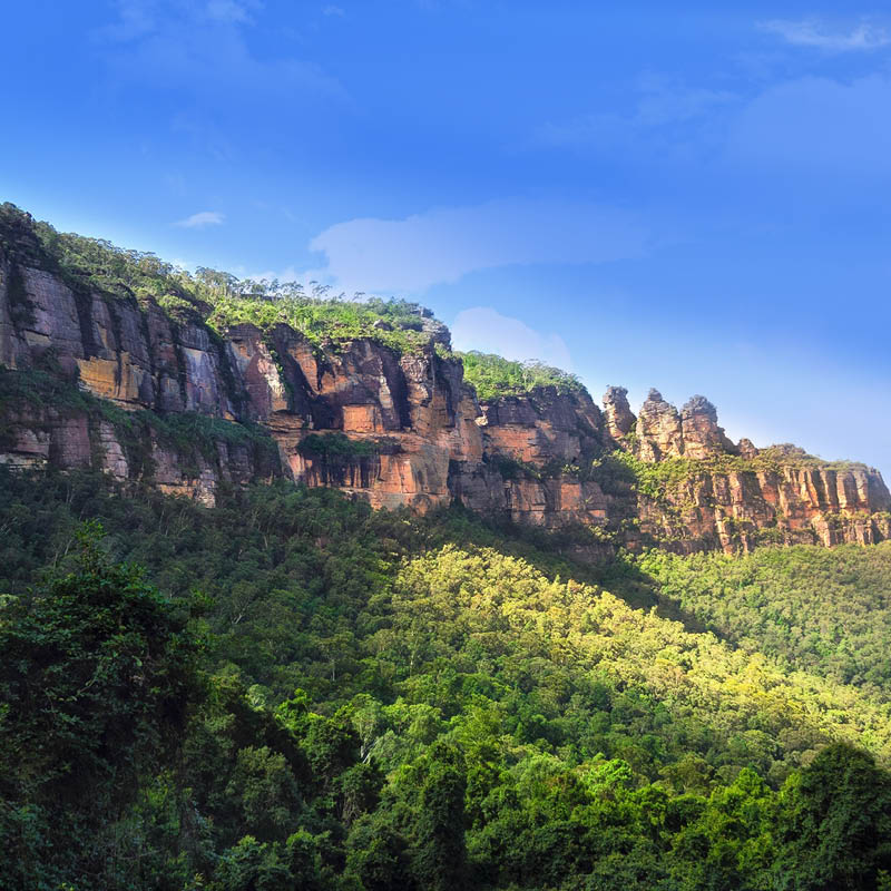 Spring Garden Exploration of the Blue Mountains, Central NSW and Canberra with Deryn Thorpe