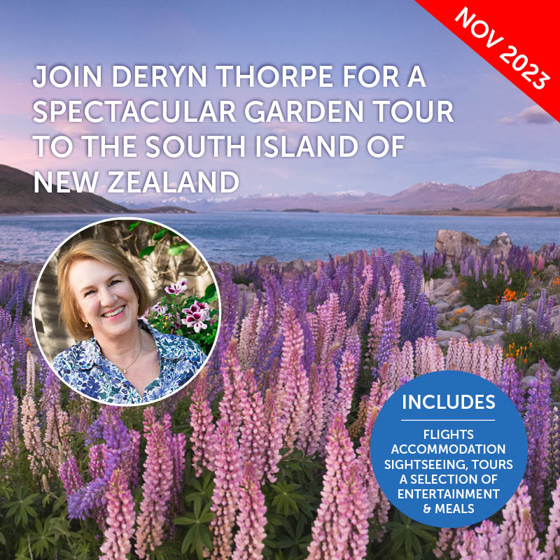 New Zealand South Island Garden Tour with Deryn Thorpe