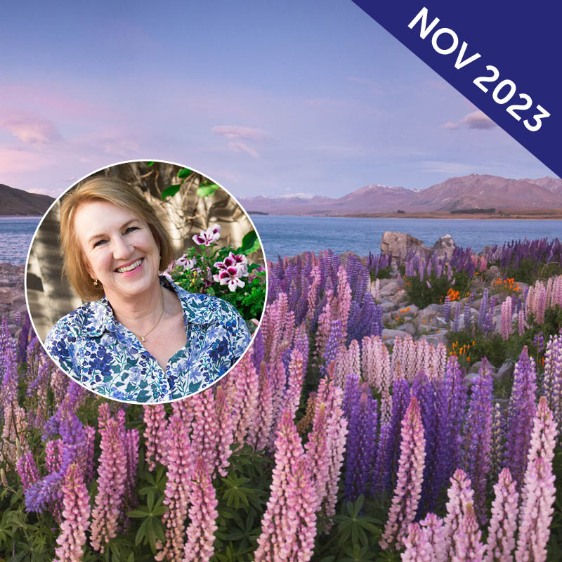 New Zealand South Island Garden Tour with Deryn Thorpe