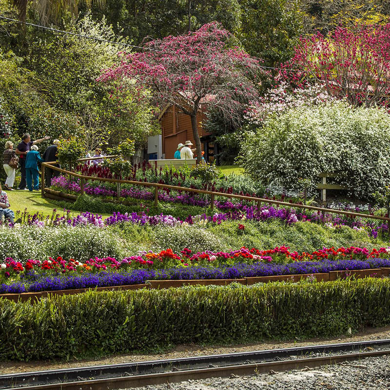 Queensland & NSW Borderlands Rail Adventure