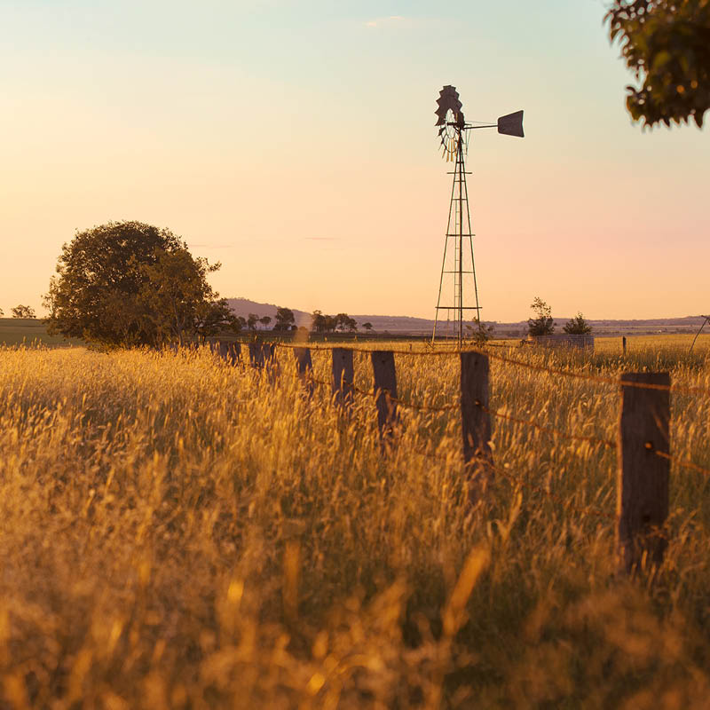 Rail & Coach Exploration of Queensland