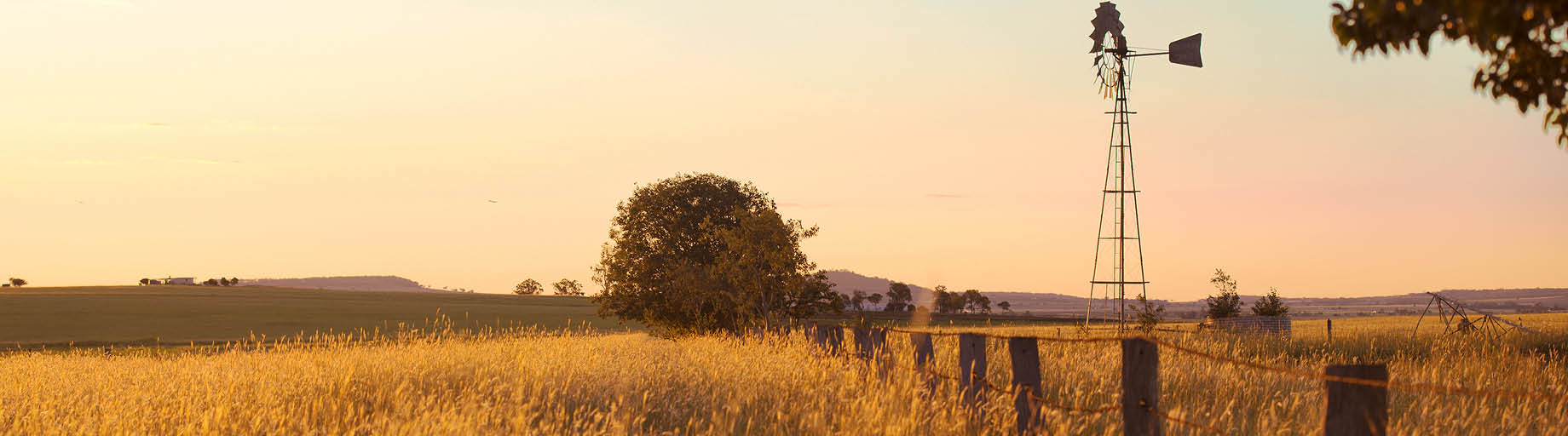 Rail & Coach Exploration of Queensland