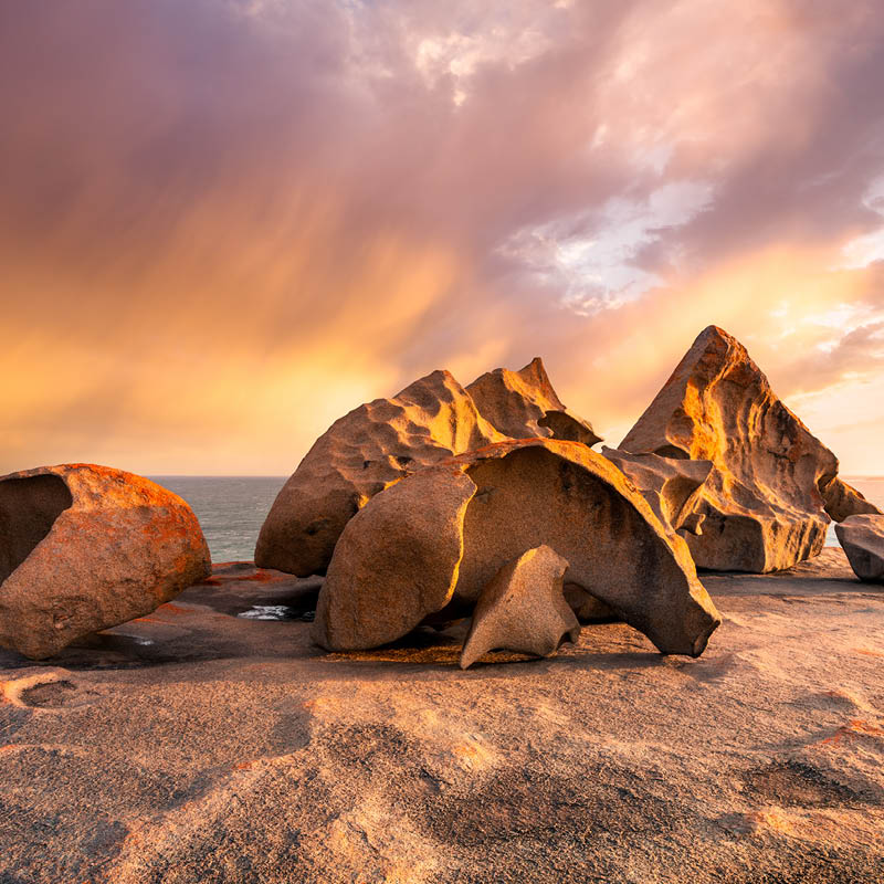 South Australia Music Cruise with Brendan Scott