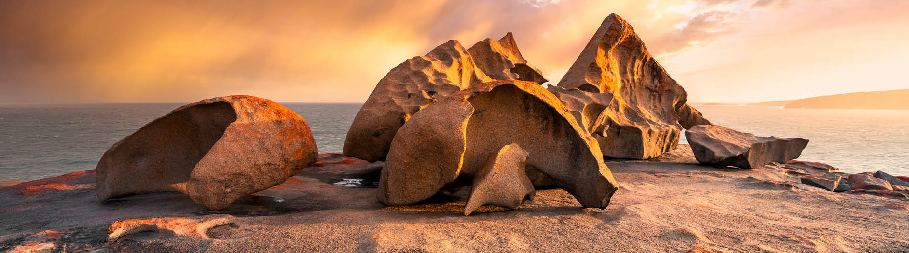 South Australia Music Cruise with Brendan Scott