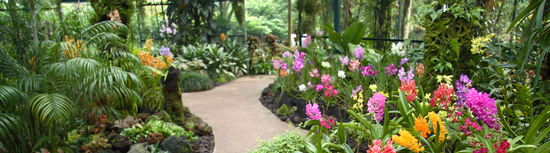 Capetown to Singapore Cruise with Lyne Hirsch 