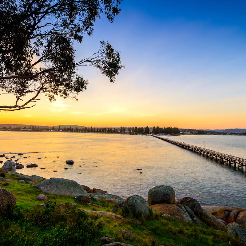 Murray River Cruise & South Australia Exploration