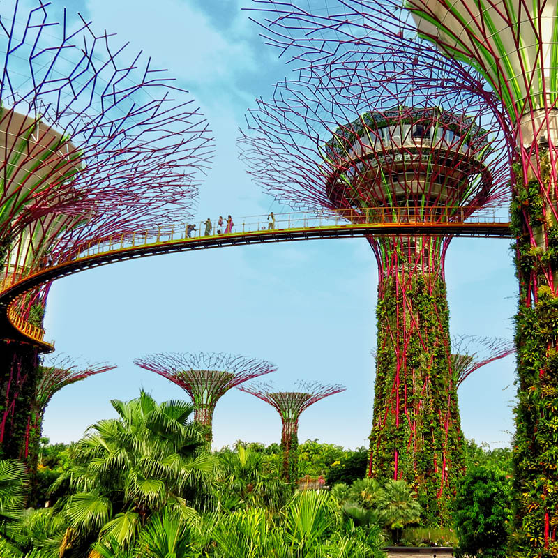 Singapore to Dubai Cruise