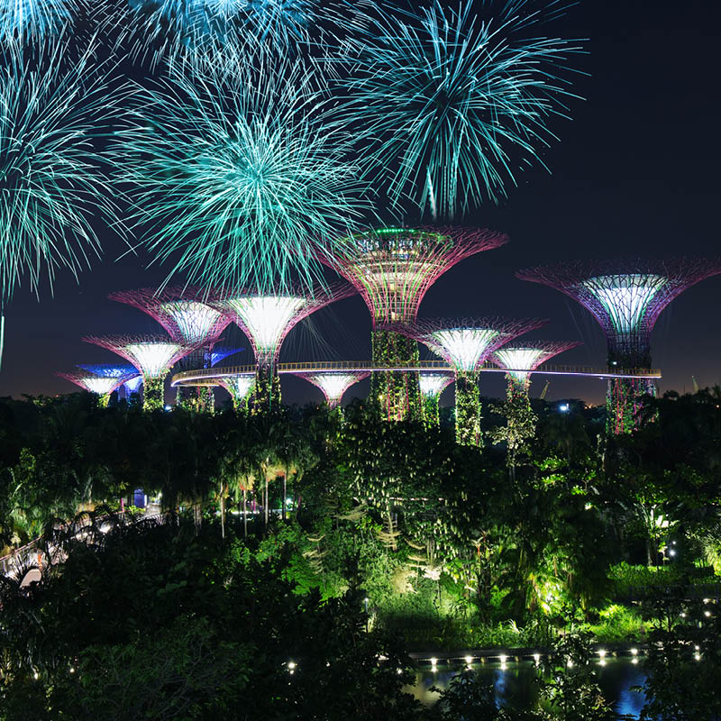 Singapore Garden Festival with Sue McDougall OAM